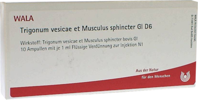 TRIGONUM vesicae et Musculus sphincter GL D 6 Amp.